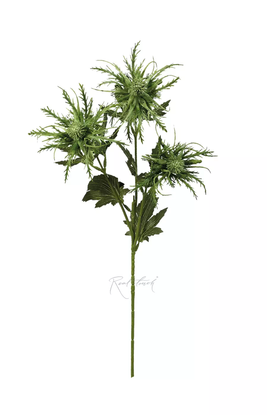 Чертополох - Зеленый