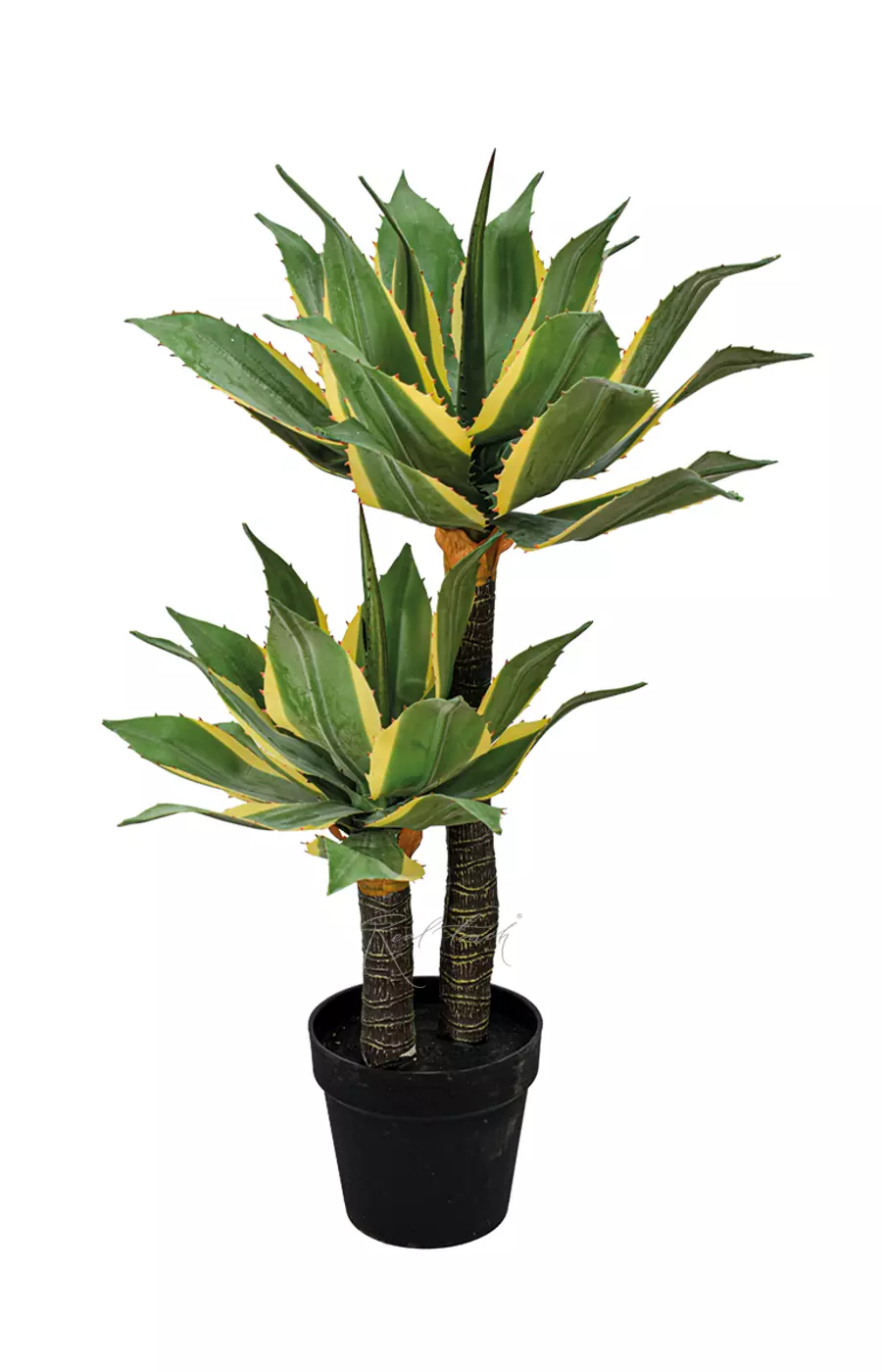 Юкка Ивори Тауэр высокая в кашпо - Зеленый