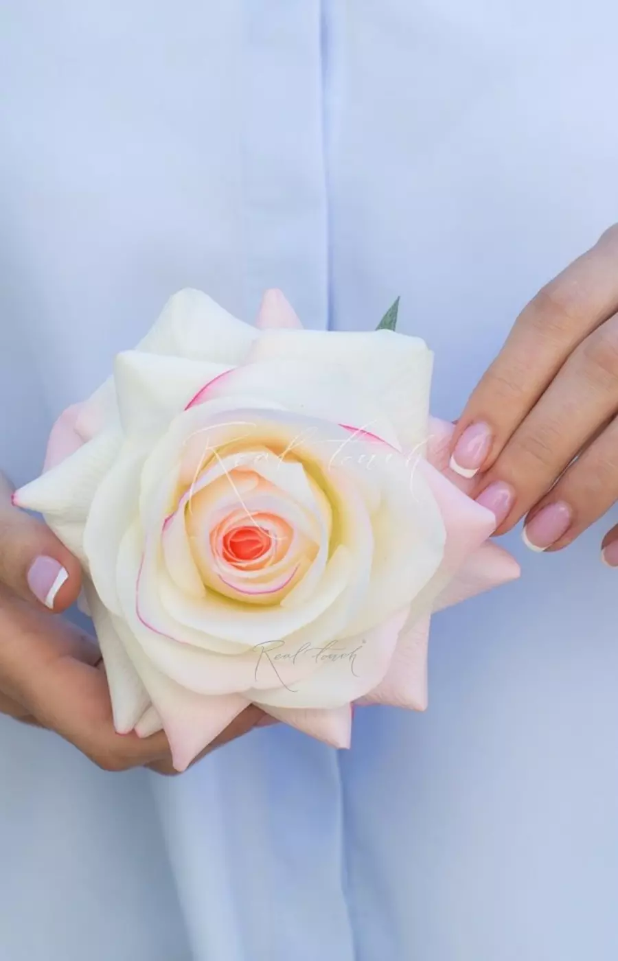 Соцветие розы Гранд - Молочно-розовый