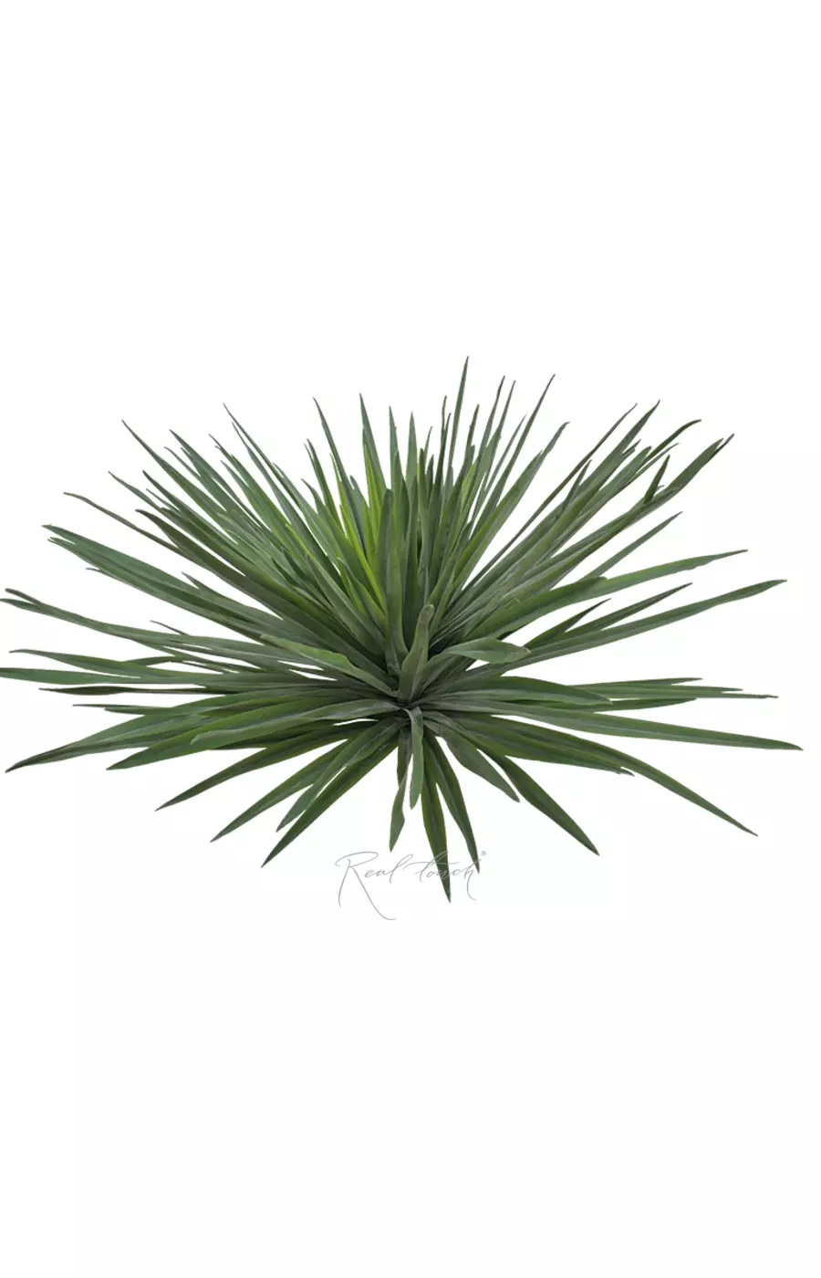 Юкка Садовая малая без  кашпо - Зеленый