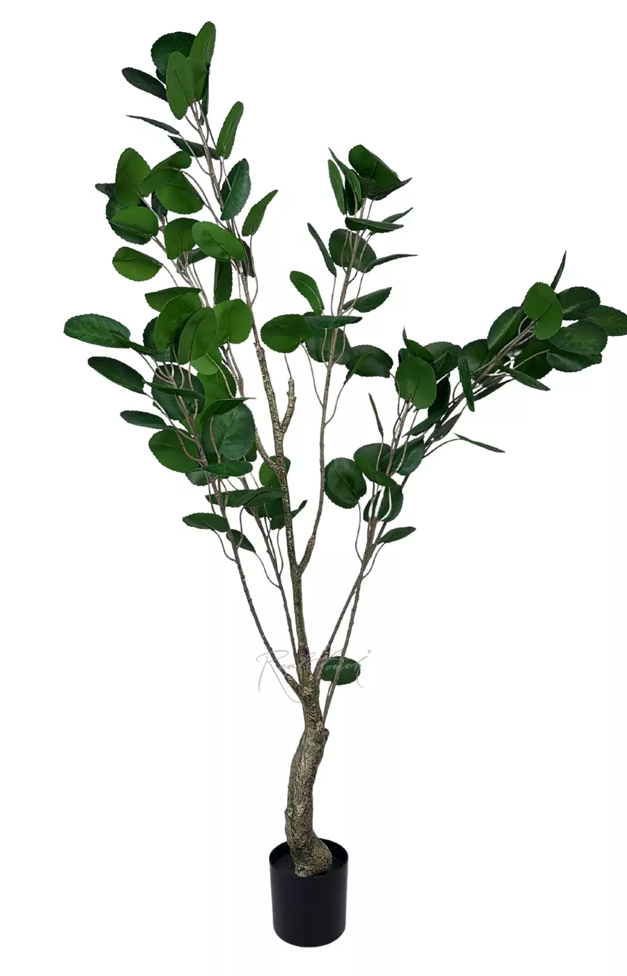 Аралия Фабиан 180см - Зеленый