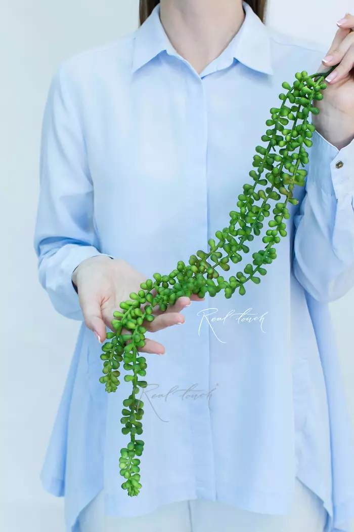 Суккулент 407 - Зеленый Суккулент 407 - Зеленый