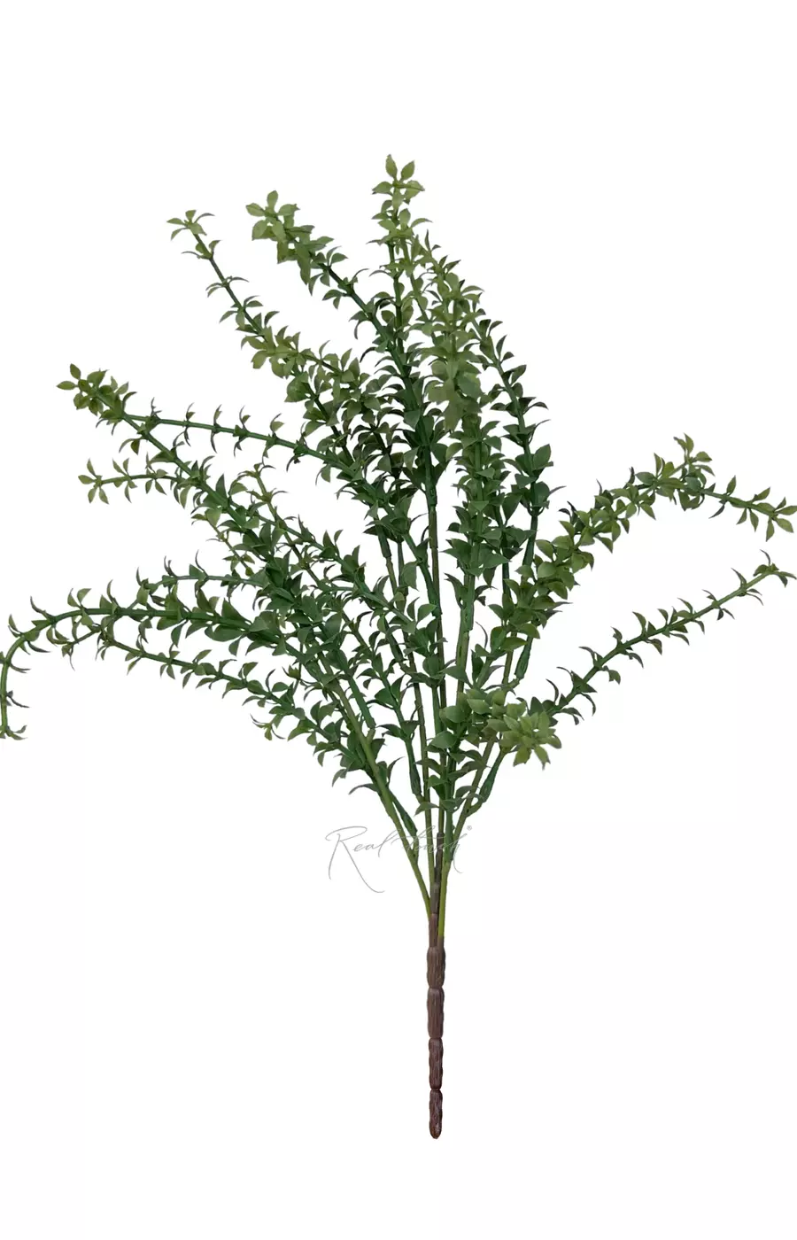 Тимьян - Темно-зеленый