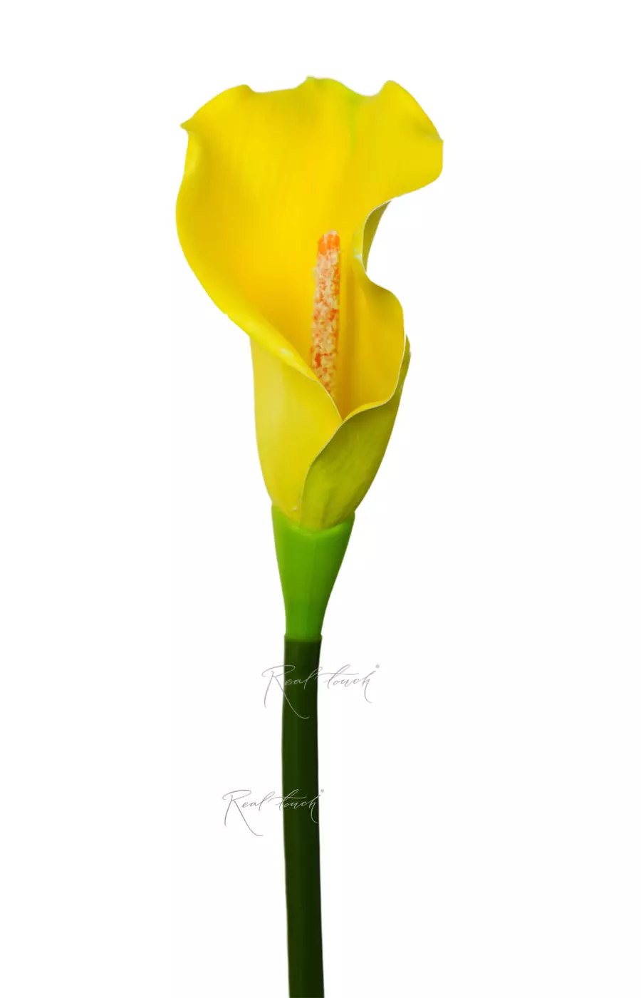 Калла 3D малая - Желтый