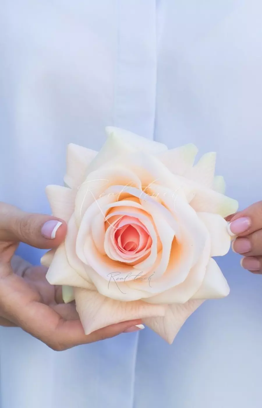 Соцветие розы Гранд - Персиково-розовый