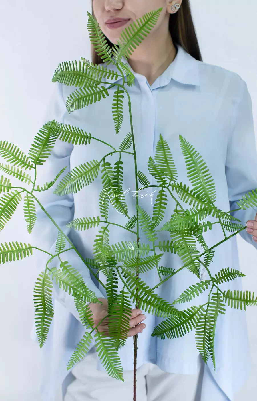 Ветка Дикраноптериса линейного крупный лист - Зеленый Ветка Дикраноптериса линейного крупный лист - Зеленый