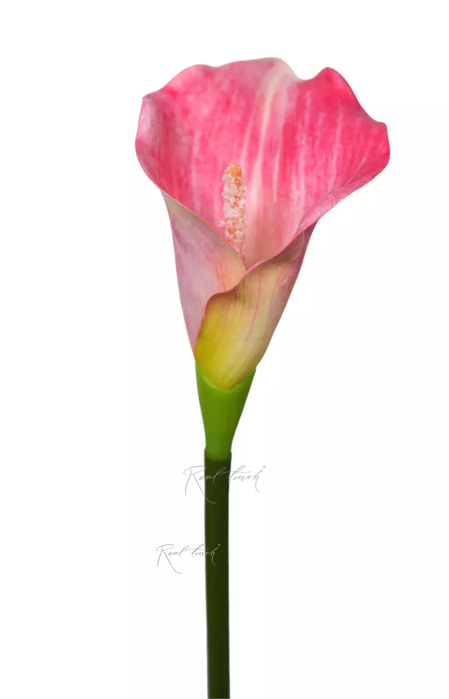 Калла 3D малая - Розовый