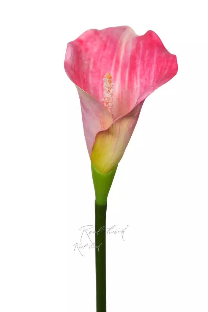 Калла 3D малая - Розовый