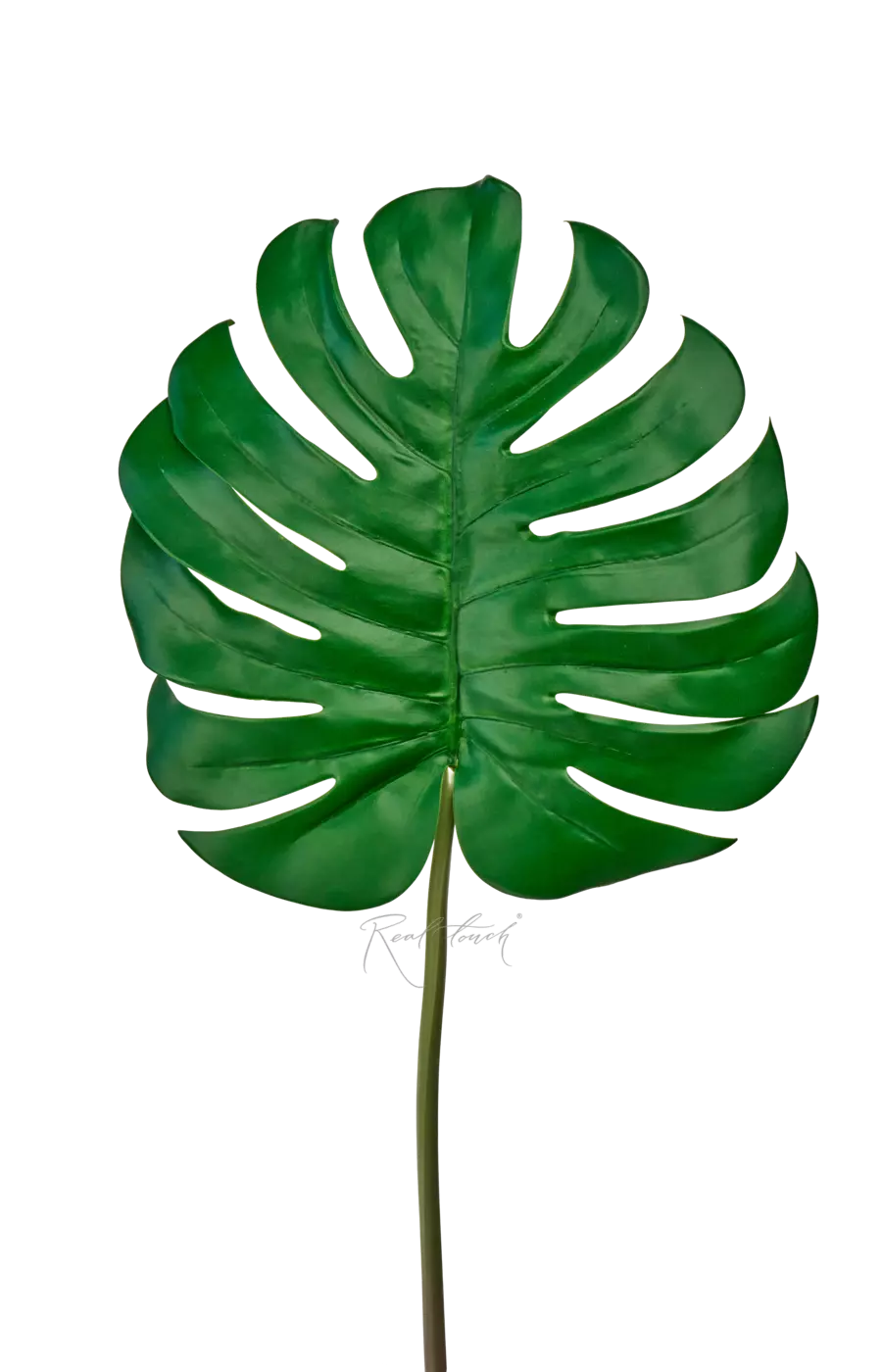 Лист монстеры 3D большой - Зеленый