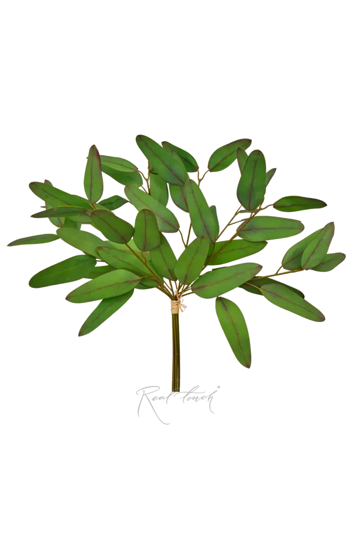 Пучок эвкалипта Популус HQ (8 веточек) - Зелено-бордовый