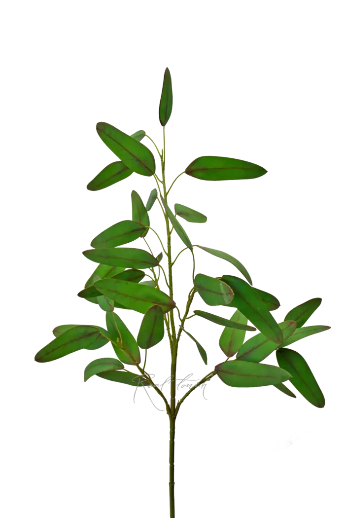 Ветка эвкалипта объемная Популус - Зеленый