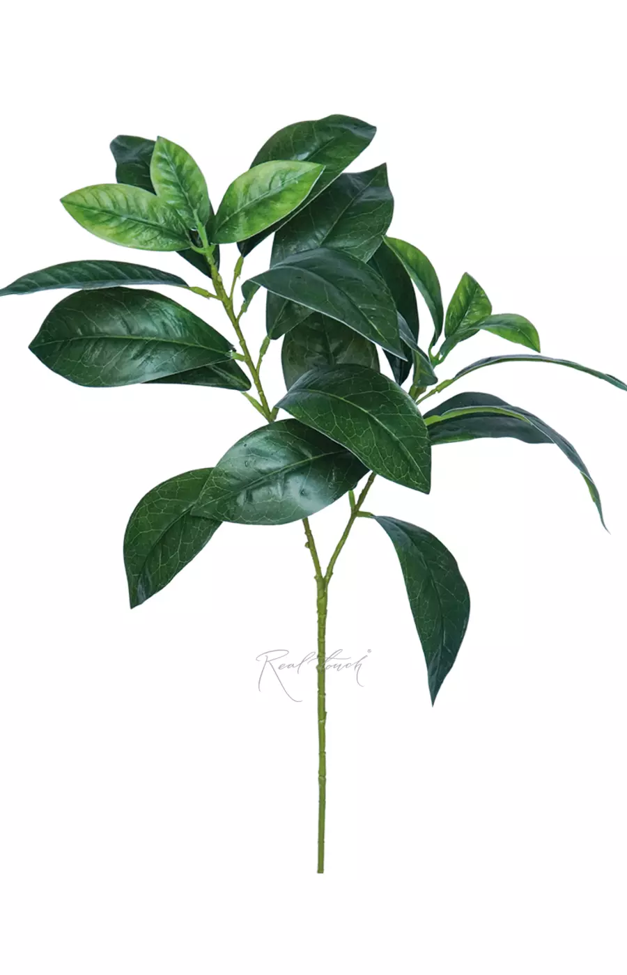 Ветка фикуса Саманта - Зеленый