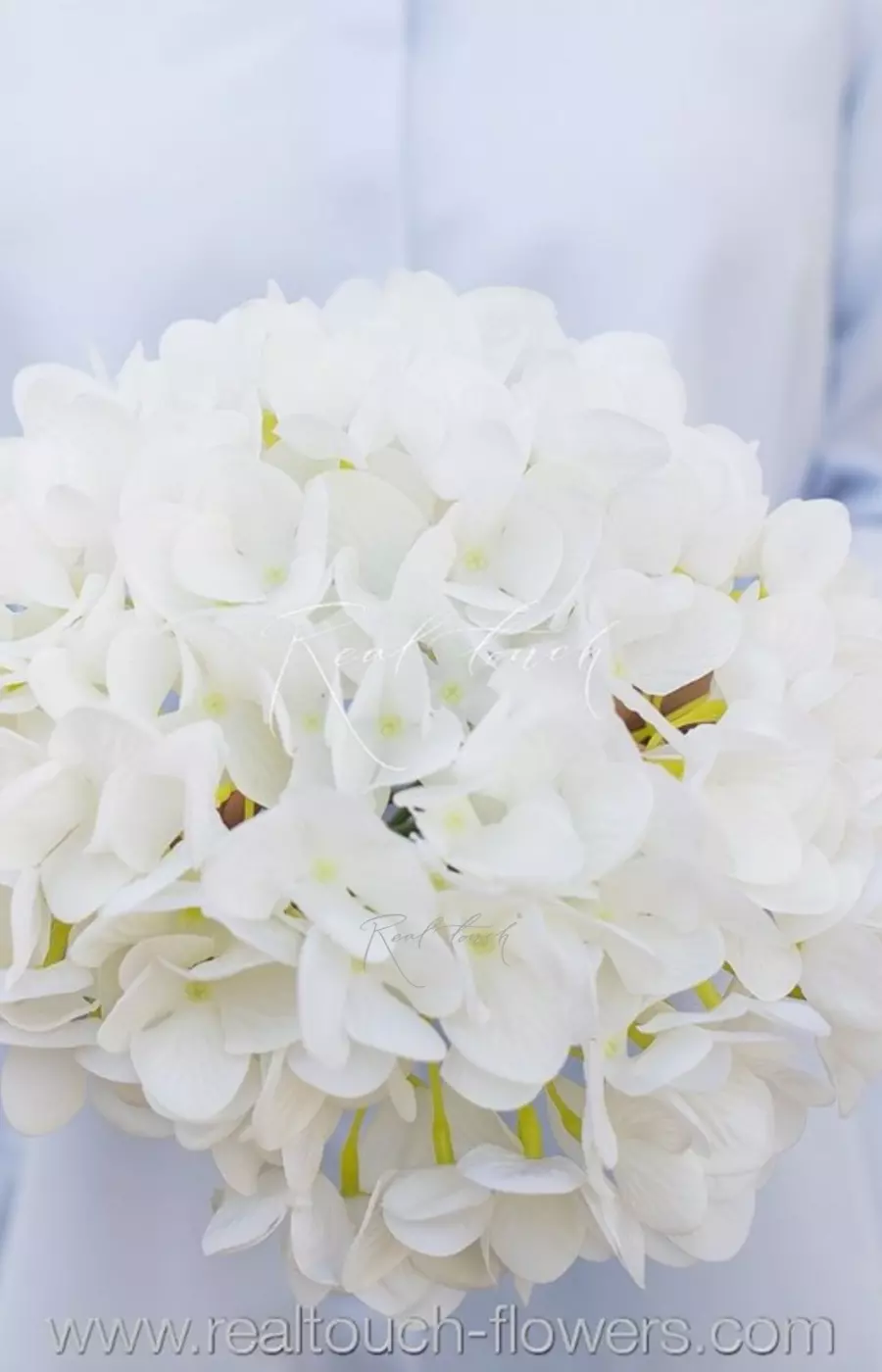 Гортензия соцветие XL (без стебля) - Белый