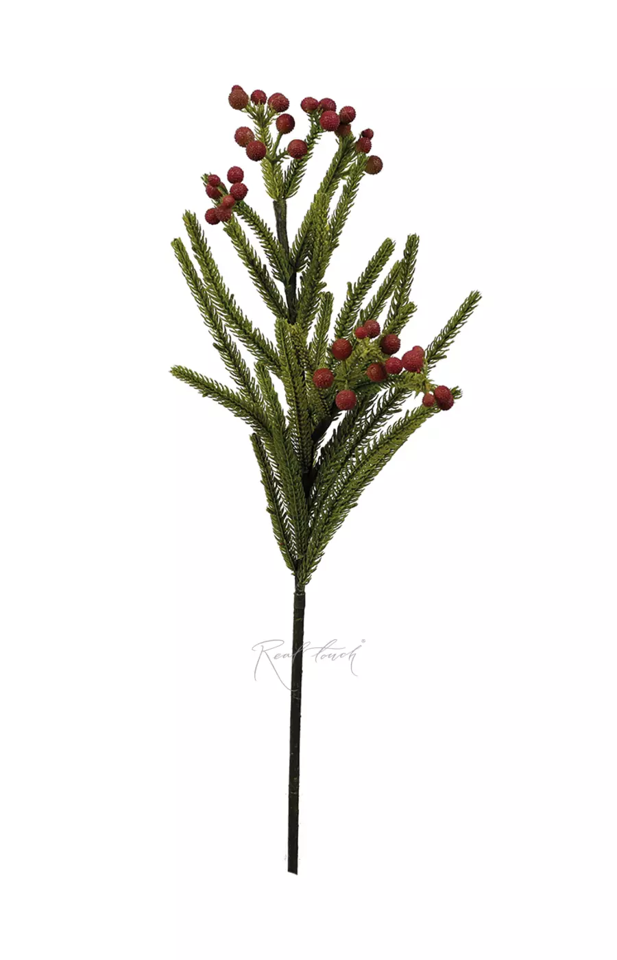 Бруния - Красный Бруния - Красный