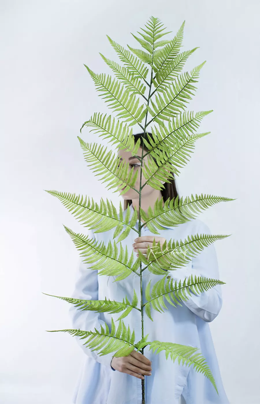 Ветка древовидного папоротника 180см - Пыльно-зеленый