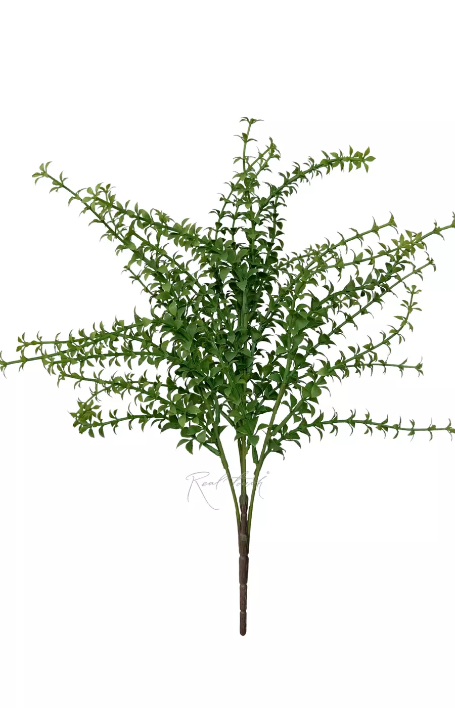 Тимьян - Светло-зеленый