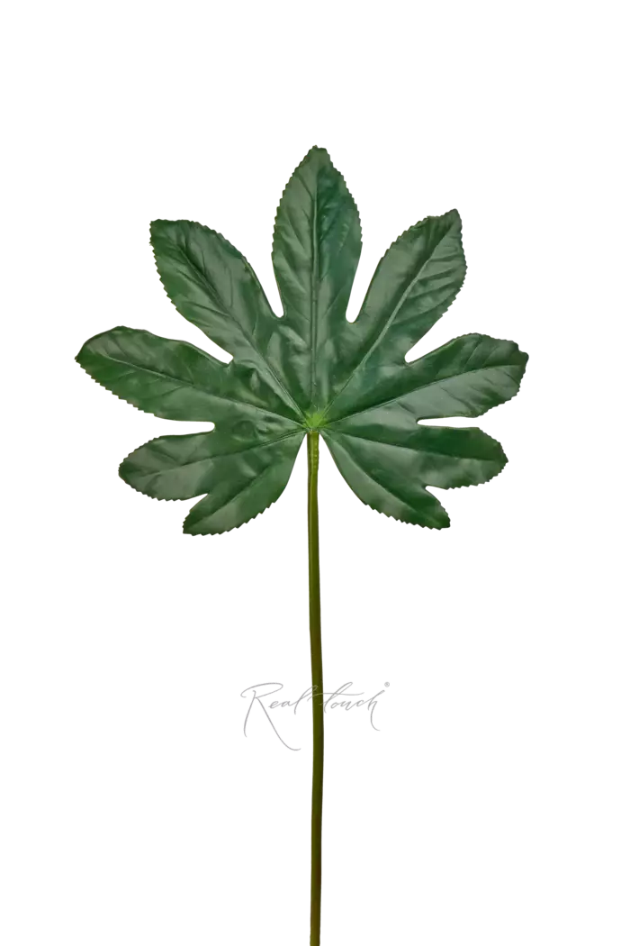 Лист Фатсии  - Зеленый