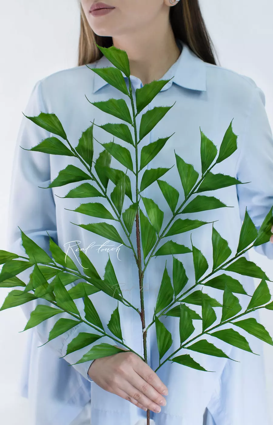 Ветка Кариота Обтуса - Зеленый Ветка Кариота Обтуса - Зеленый