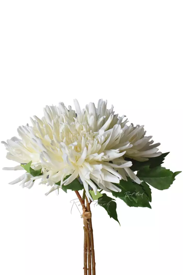 Букет Махровых хризантем из 3 шт - Белый Букет Махровых хризантем из 3 шт - Белый