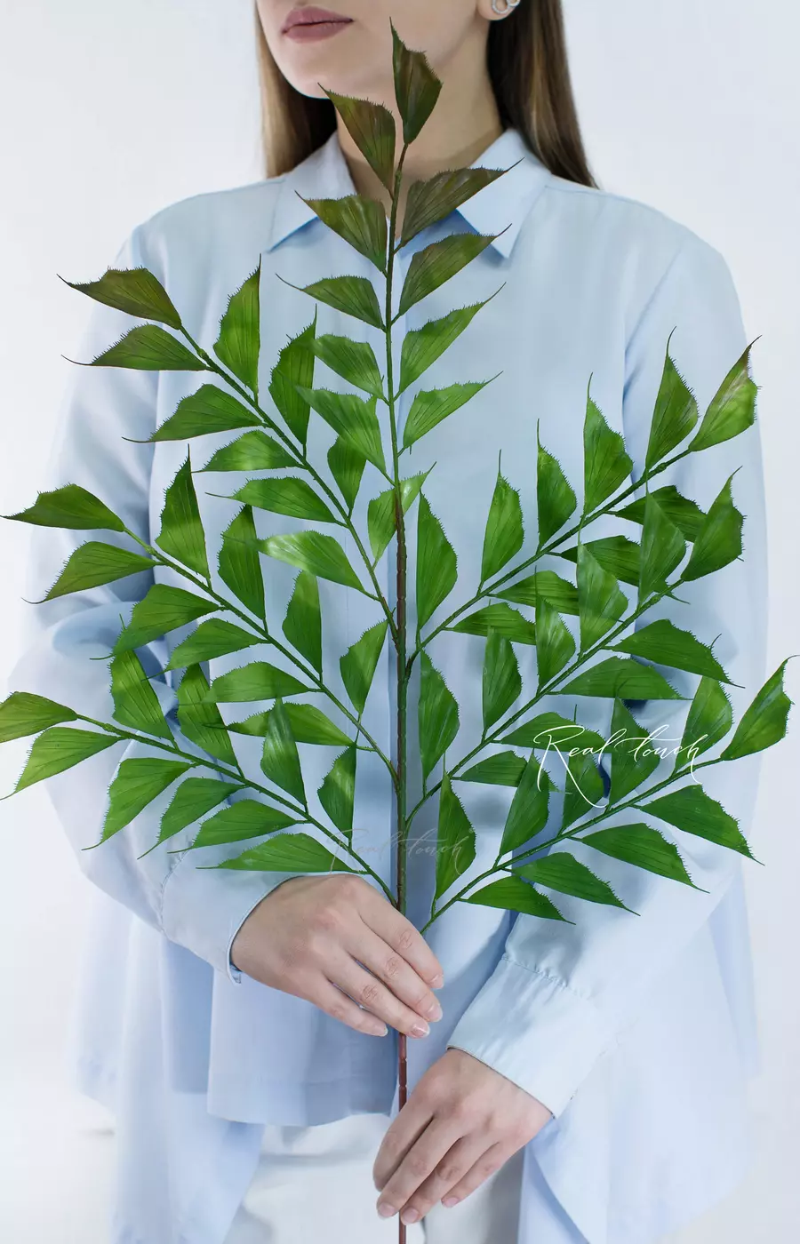 Ветка Кариота Обтуса - Зелено-красный Ветка Кариота Обтуса - Зелено-красный