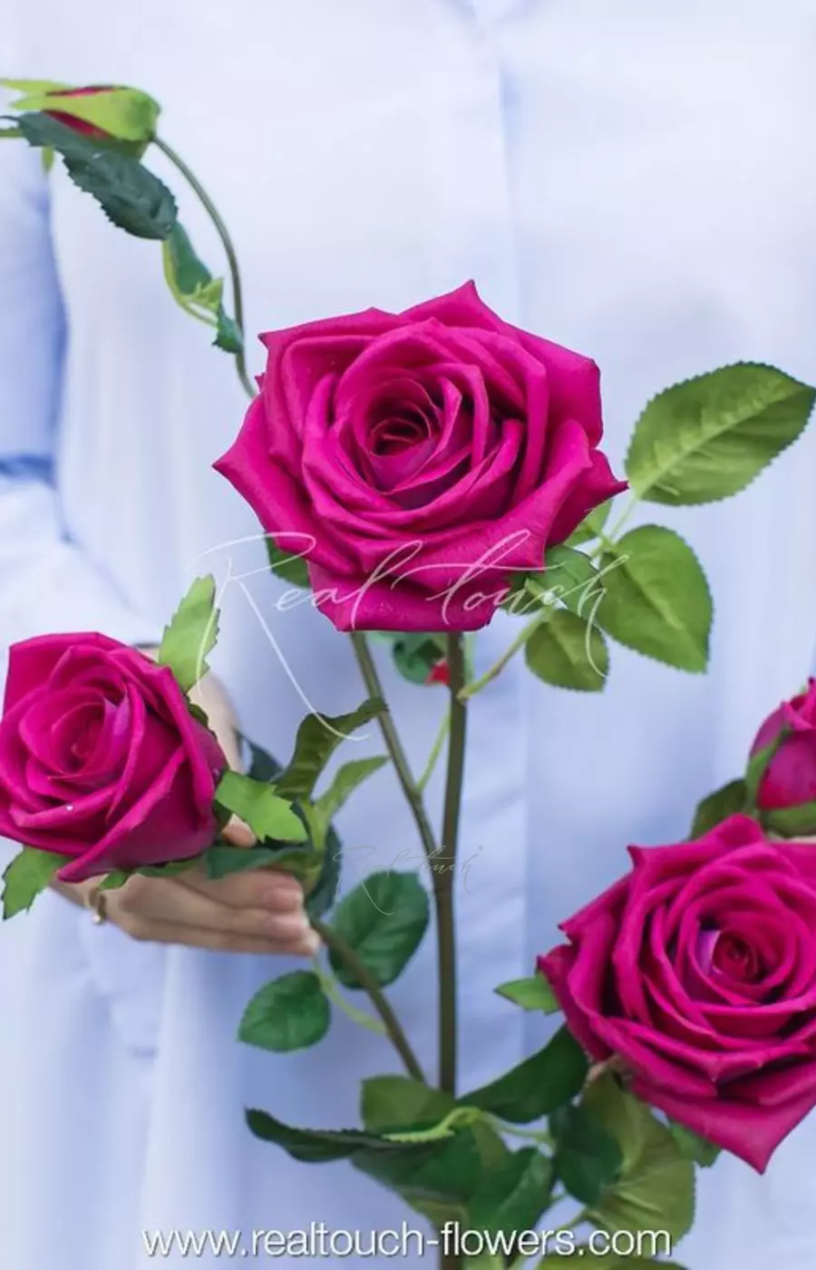 Роза Открытая 3+2 - Малиновое вино