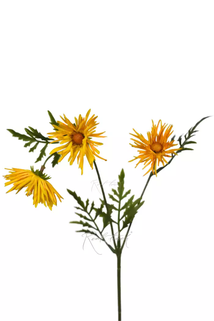 Хризантема Игольчатая small (3 соцветия) - Желтый Хризантема Игольчатая small (3 соцветия) - Желтый
