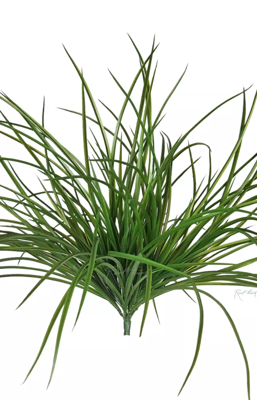 Пучок травы - Зеленый