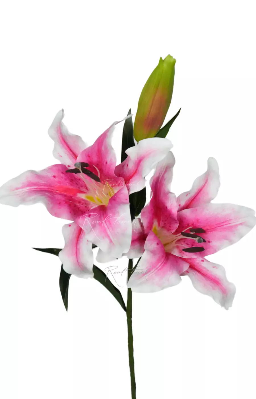 Тигровая лилия - Розовый