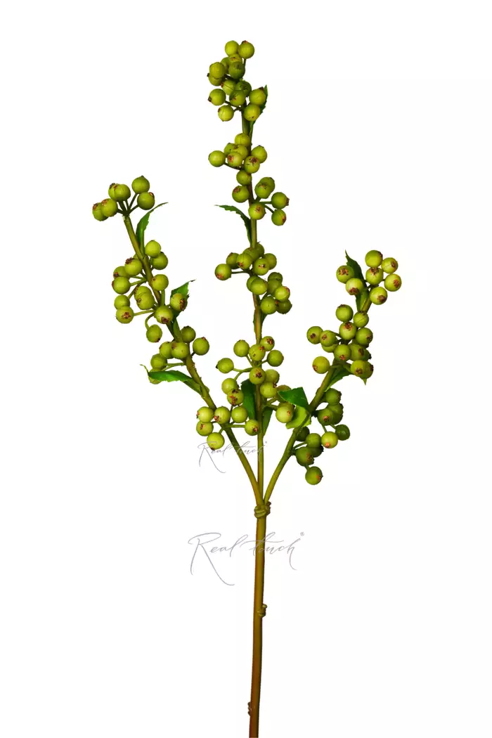 Ветка Черники - Светло-зеленый