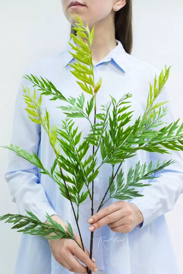 Гревиллея на высоком стебле - Зеленый Гревиллея на высоком стебле - Зеленый