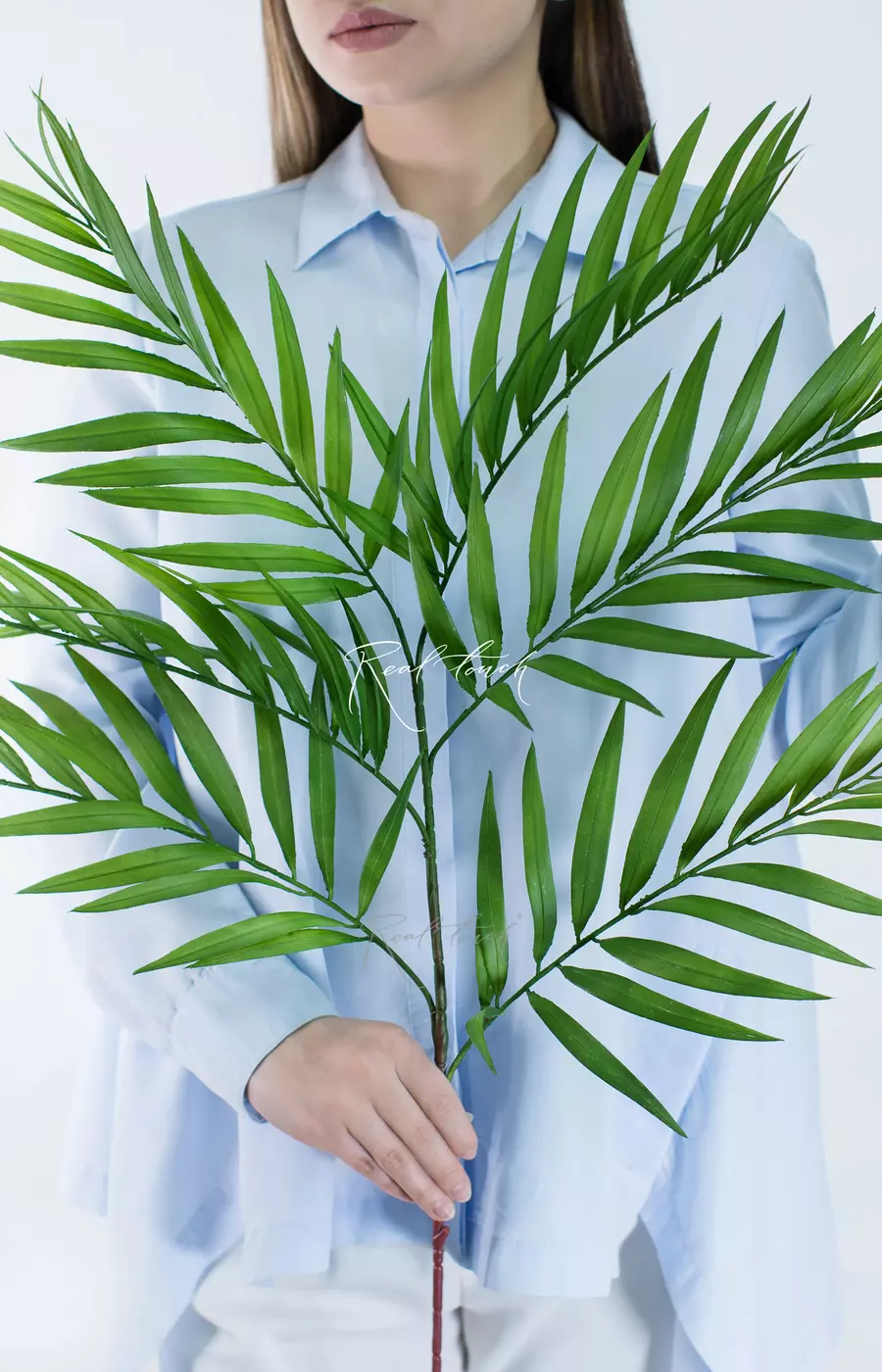 Ветка Хамедореи 100см - Зеленый Ветка Хамедореи 100см - Зеленый