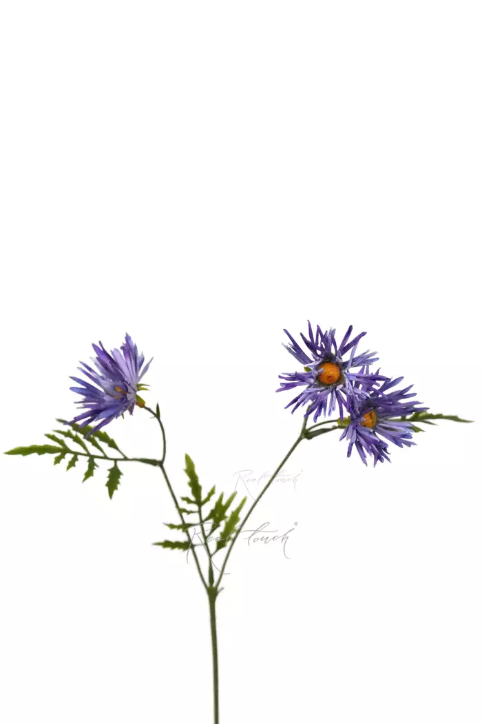 Хризантема Игольчатая small (3 соцветия) - Фиолетовый Хризантема Игольчатая small (3 соцветия) - Фиолетовый