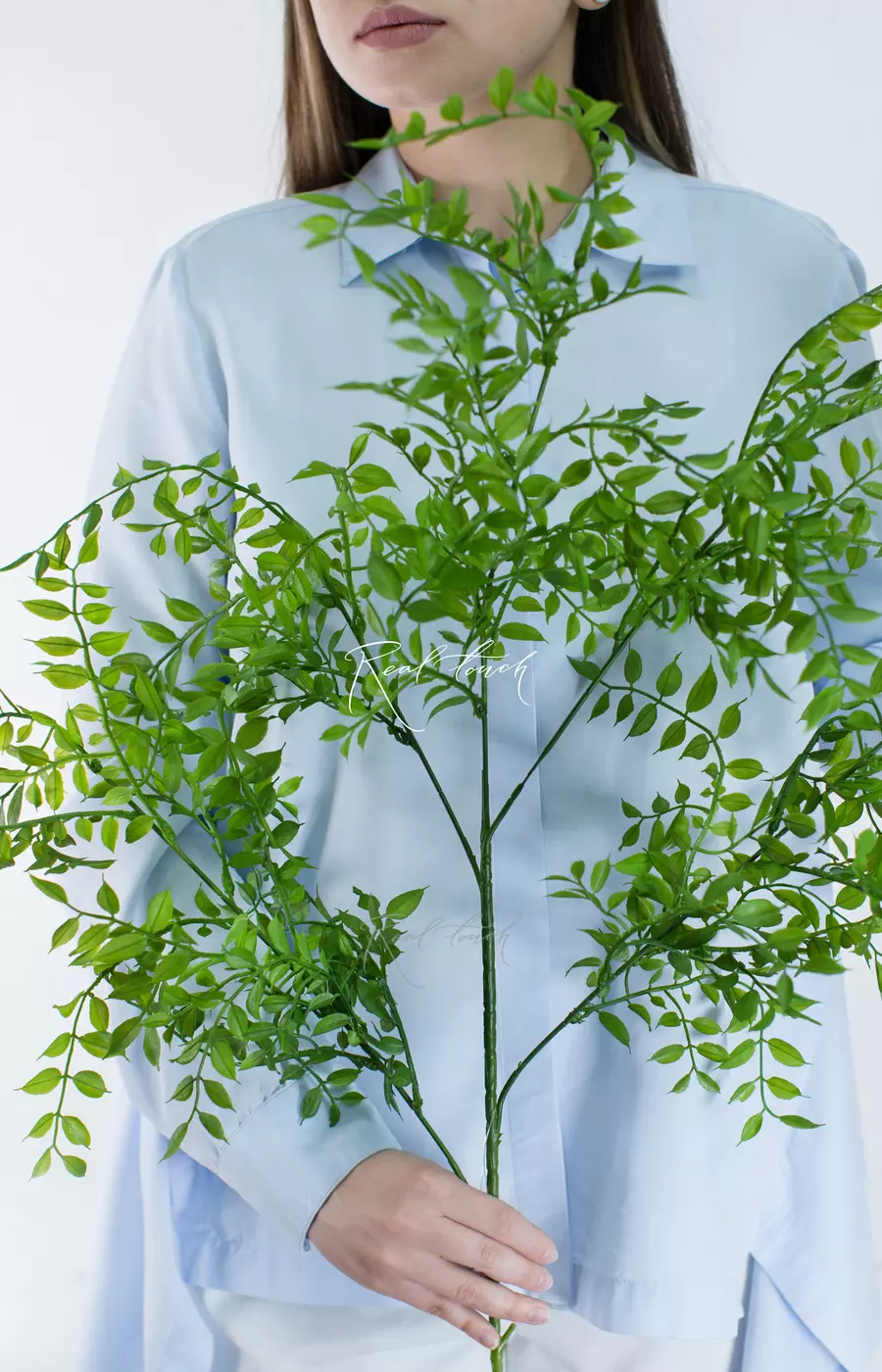 Ветка Рускус Иглица - Зеленый Ветка Рускус Иглица - Зеленый