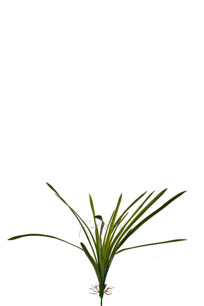 Куст из 18 листьев - Зеленый