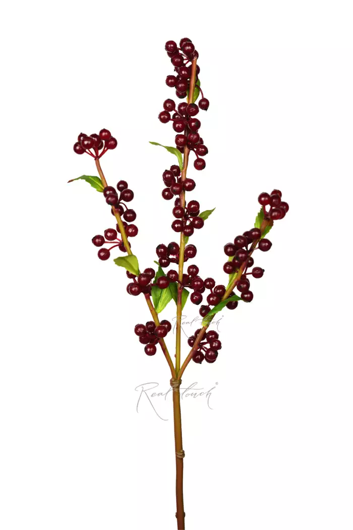 Ветка с ягодами Клюквы - Красный