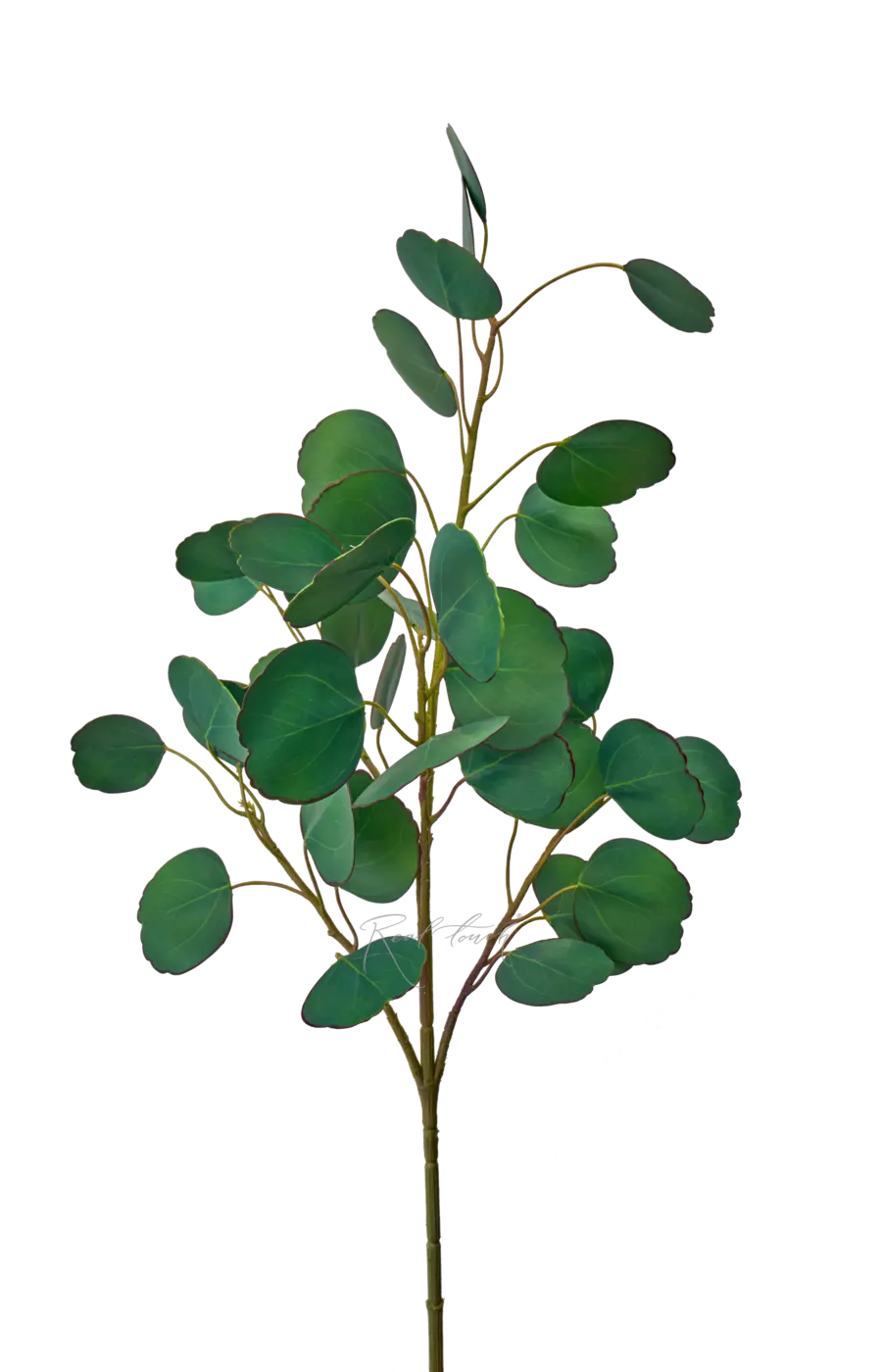 Ветка эвкалипта объемная Silver Dollar - Зелено-голубой