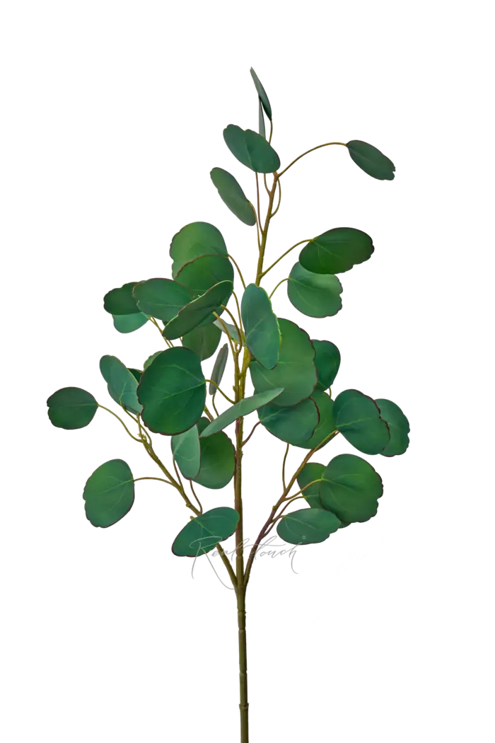 Ветка эвкалипта объемная Silver Dollar - Зелено-голубой Ветка эвкалипта объемная Silver Dollar - Зелено-голубой