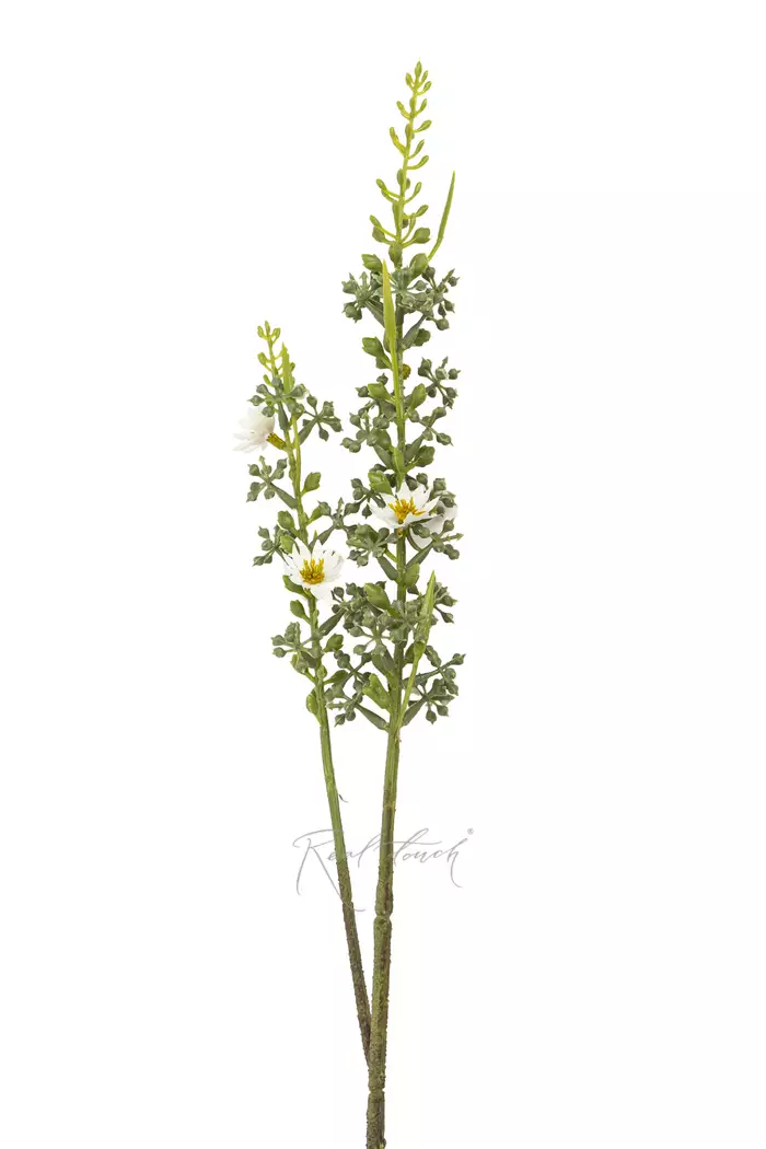 Звездочка с ягодками - Белый