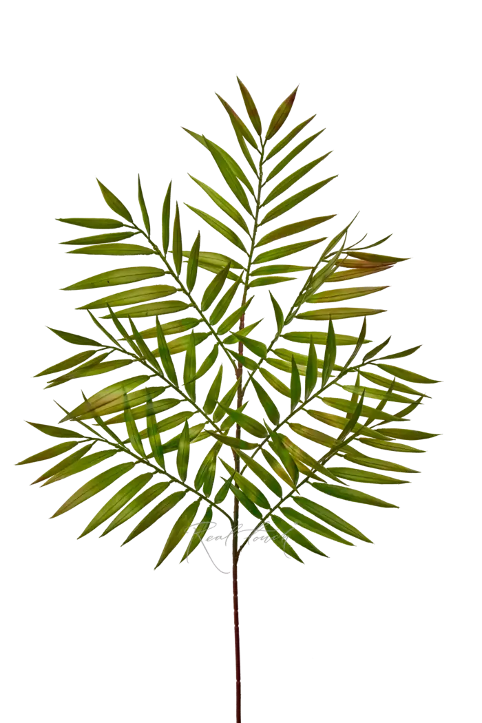 Ветка Хамедореи 88см - Зелено-фиолетовый