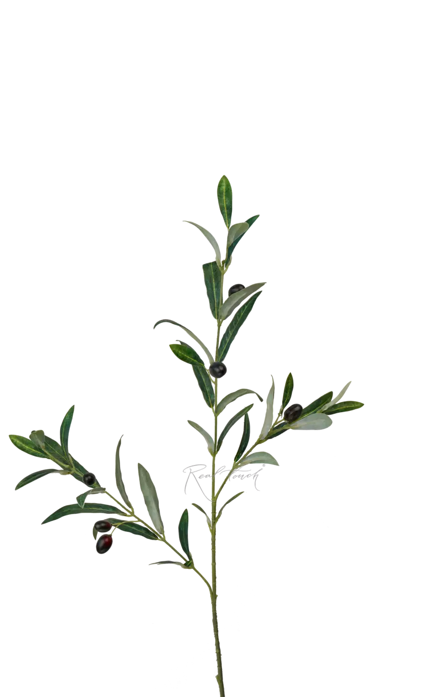 Ветка оливы с плодами средняя 76см - Зеленый