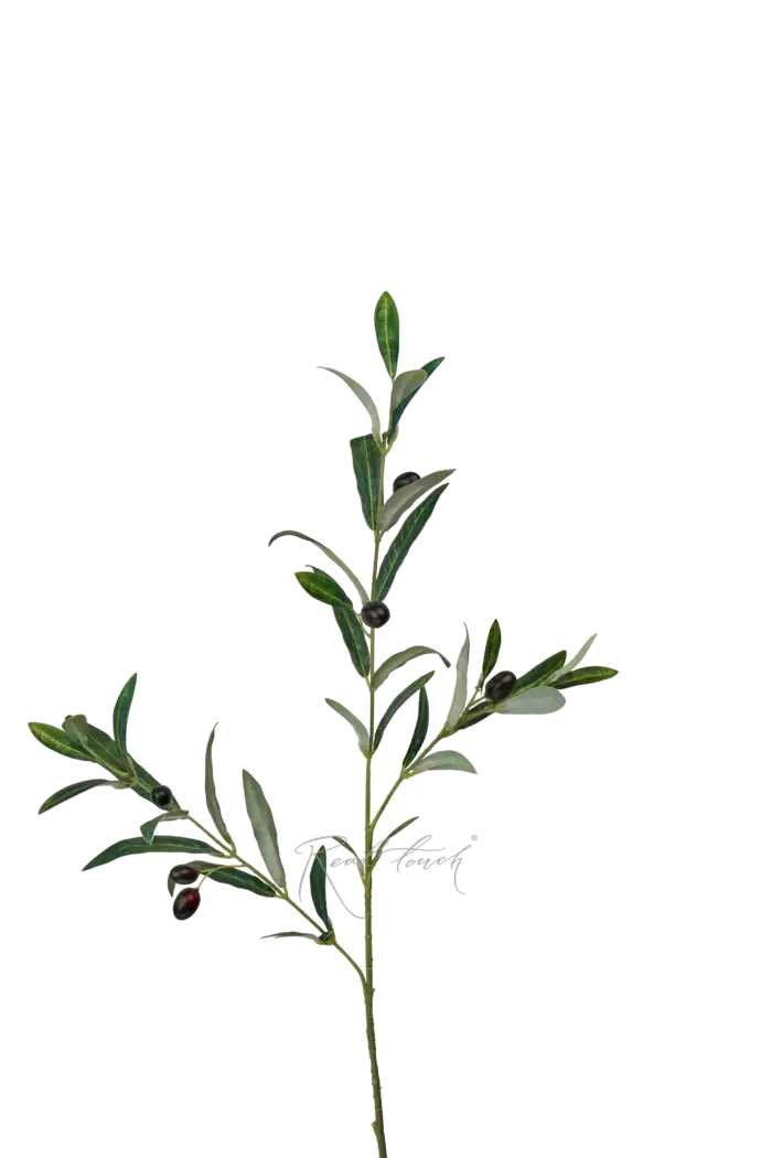 Ветка оливы с плодами средняя 76см - Зеленый