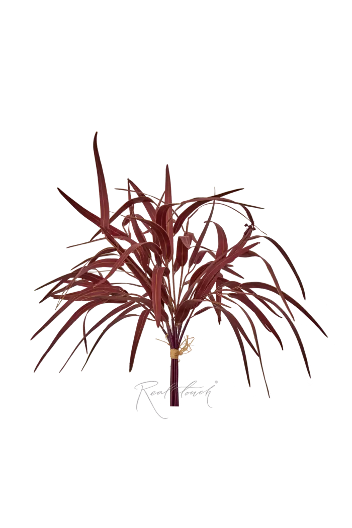 Пучок эвкалипта Николи (8 веточек) или узколистый - Бордо