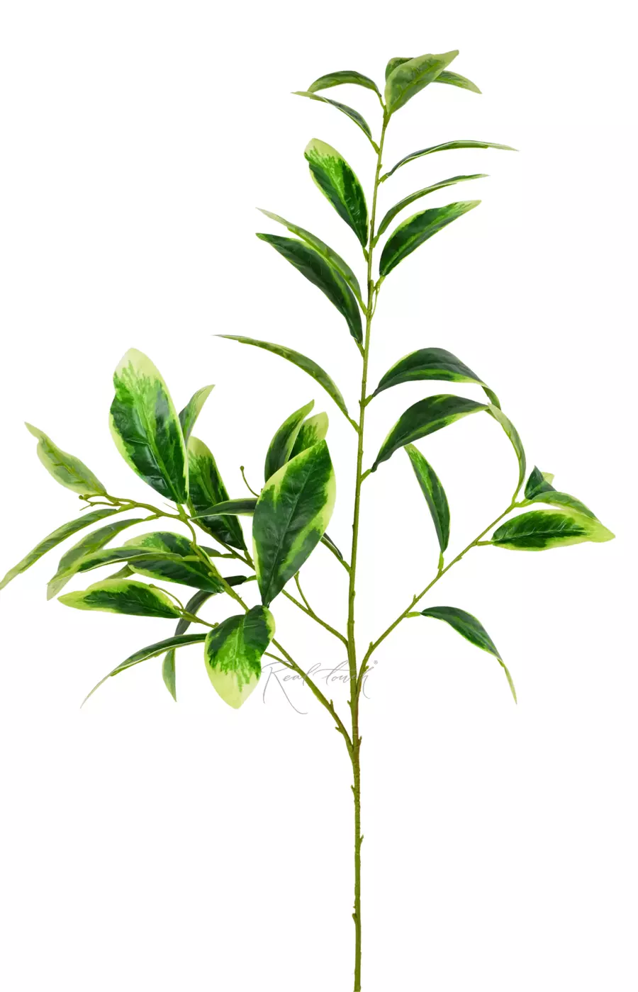 Ветка фикуса Саманта (высокая) - Желто-зеленый