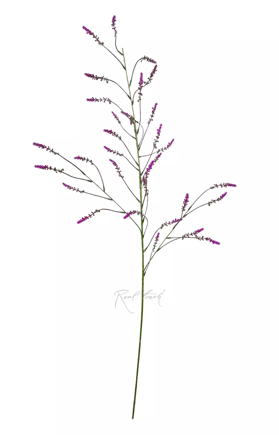 Донник 125 см - Фиолетовый