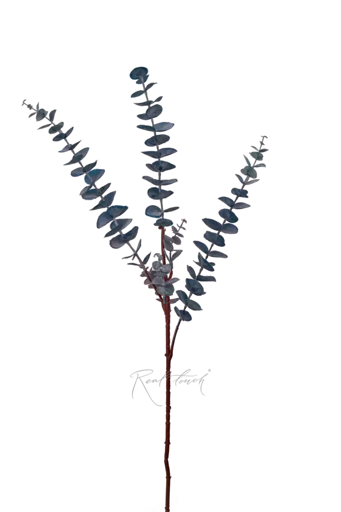 Эвкалипт BABY BLUE ветка - Фиолетовый