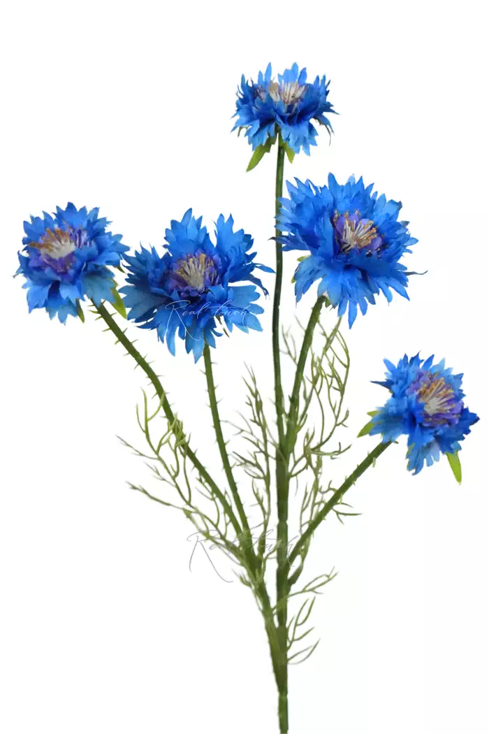 Ветка Василька (5 соцветий) - Синий Ветка Василька (5 соцветий) - Синий
