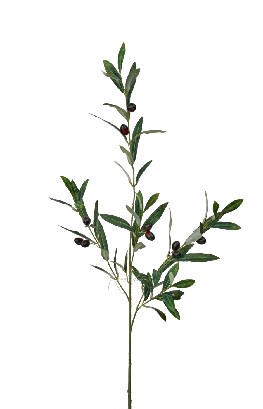 Ветка оливы с плодами высокая 112см - Зеленый