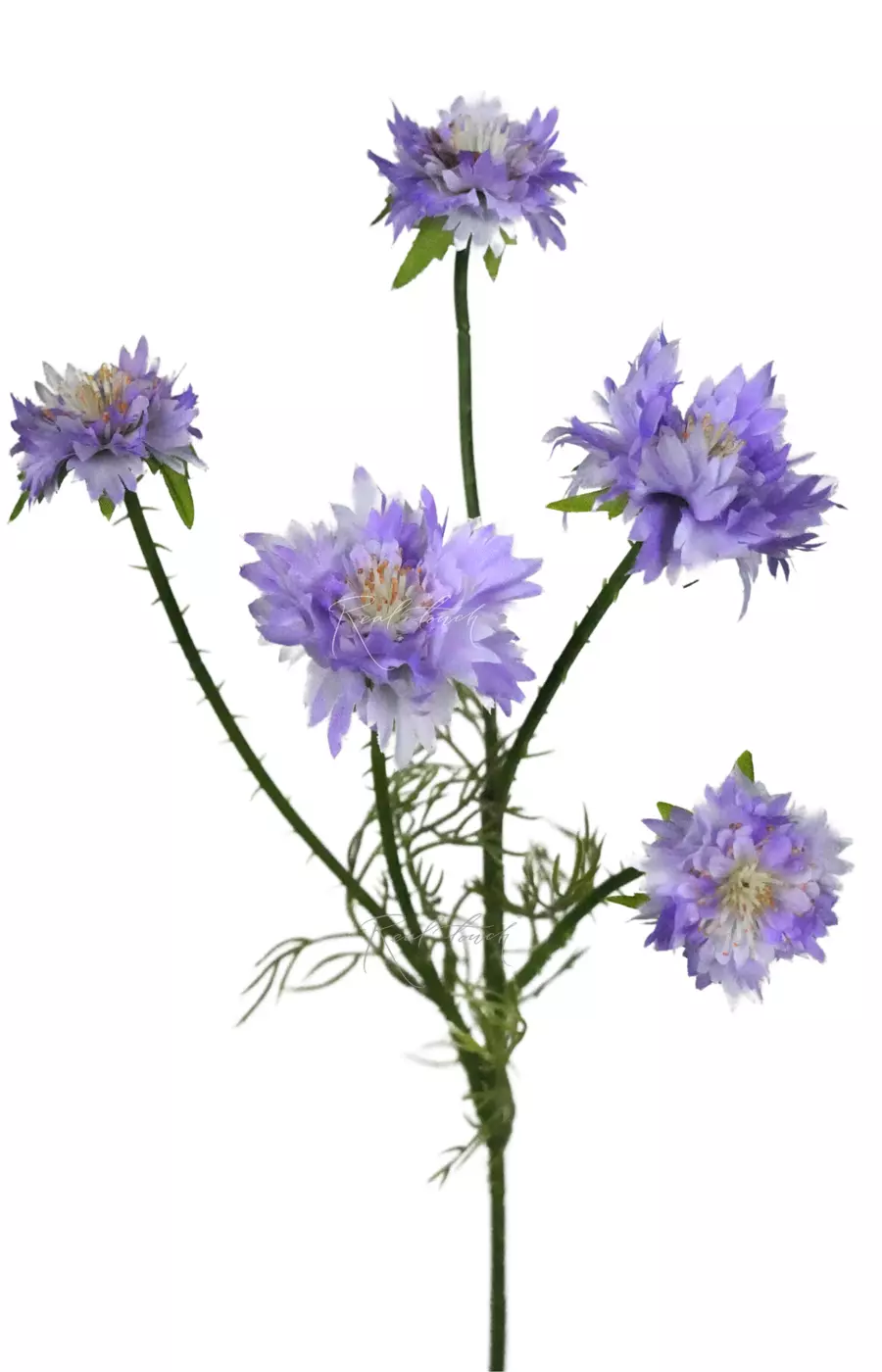Ветка Василька (5 соцветий) - Светло-фиолетовый