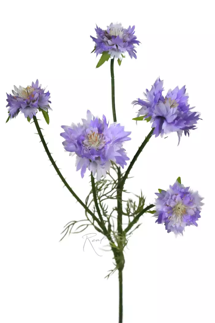 Ветка Василька (5 соцветий) - Светло-фиолетовый Ветка Василька (5 соцветий) - Светло-фиолетовый