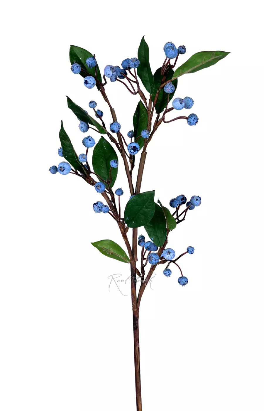 Голубика - Синий